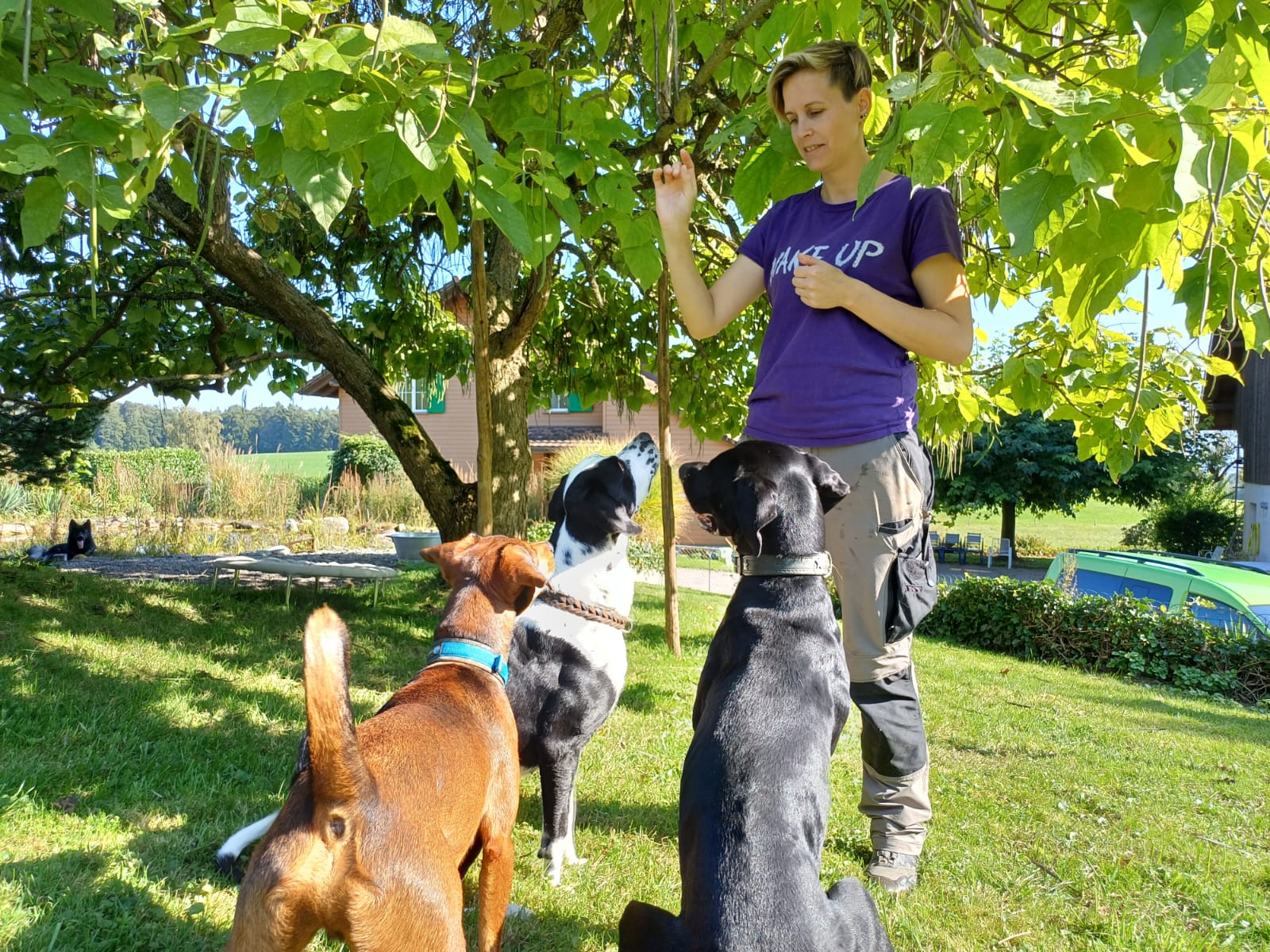Marion Gubler mit ihren Hunden auf der Wiese