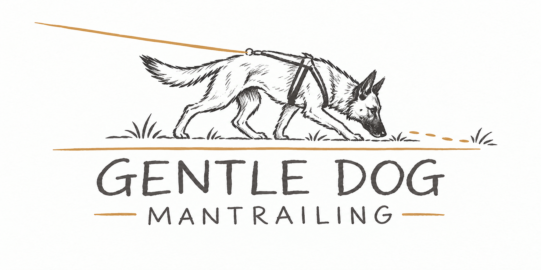 Logo Gentle Dog Mantrailing – Hund im Suchgeschirr folgt einer Spur